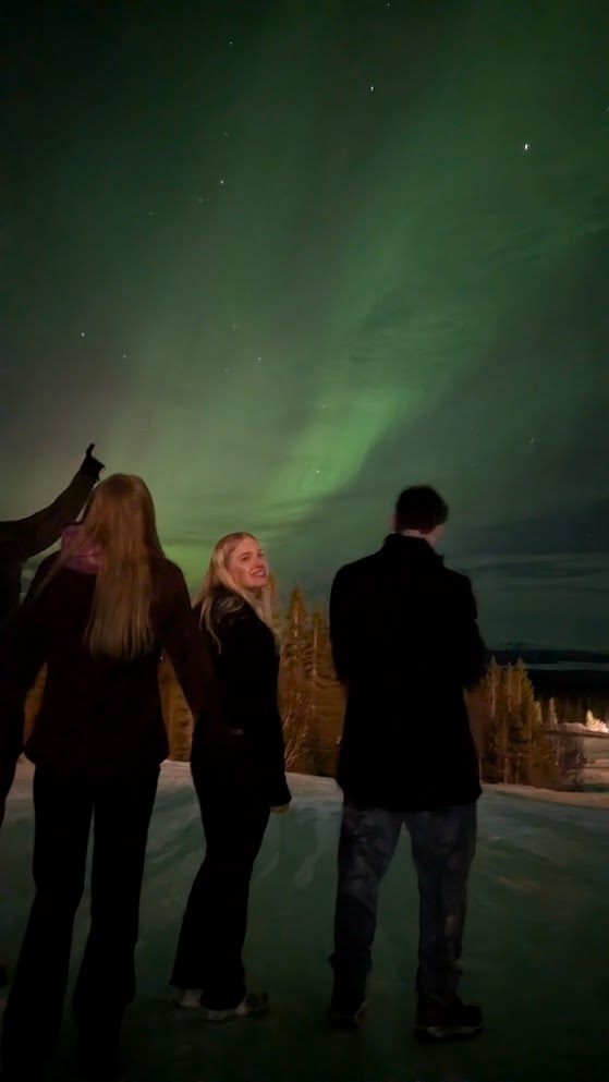 Aurora Borealis in Trillevallen - northern lights