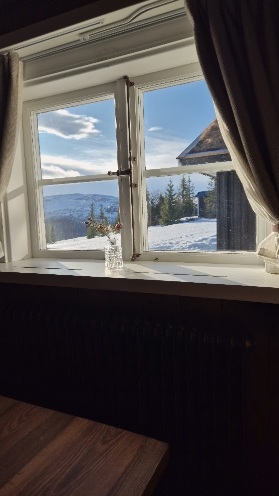 Hållfjället room window