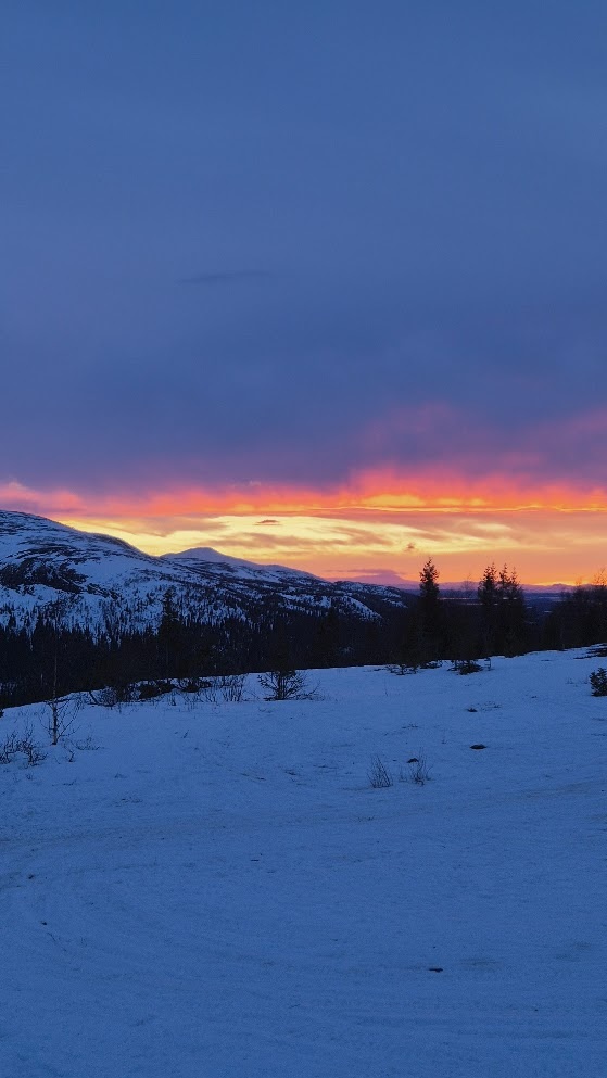 Hållfjället sunset